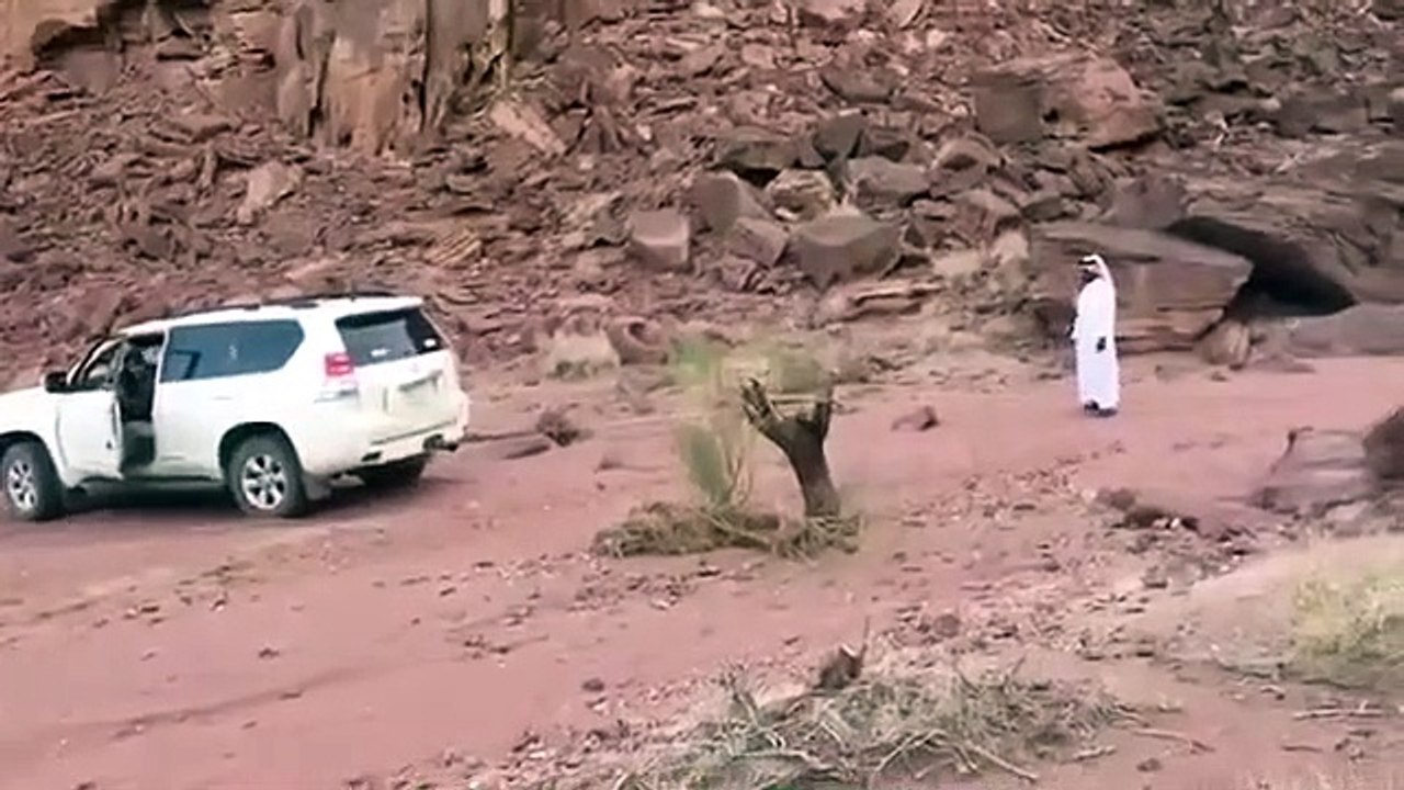 Tenter de déraciner un tronc avec son 4x4... Mauvaise idée