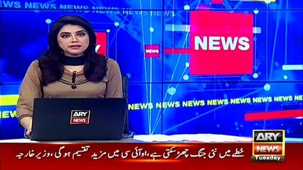 پی آئی اے کے طیاروں سے پرندے ٹکرانے کے ایک ہی دن میں دو واقعات
