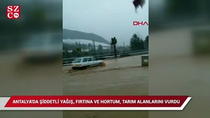 Antalya'da şiddetli yağış, fırtına ve hortum, tarım alanlarını vurdu