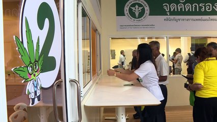 Medicina tradicional e cannabis