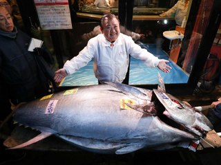 Here's What a $1.8 Million Tuna Looks Like