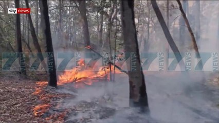 AUSTRALI, PAS SHIUT PRITET RRITJE E TEMPERATURAVE SERISH - News, Lajme - Kanali 7