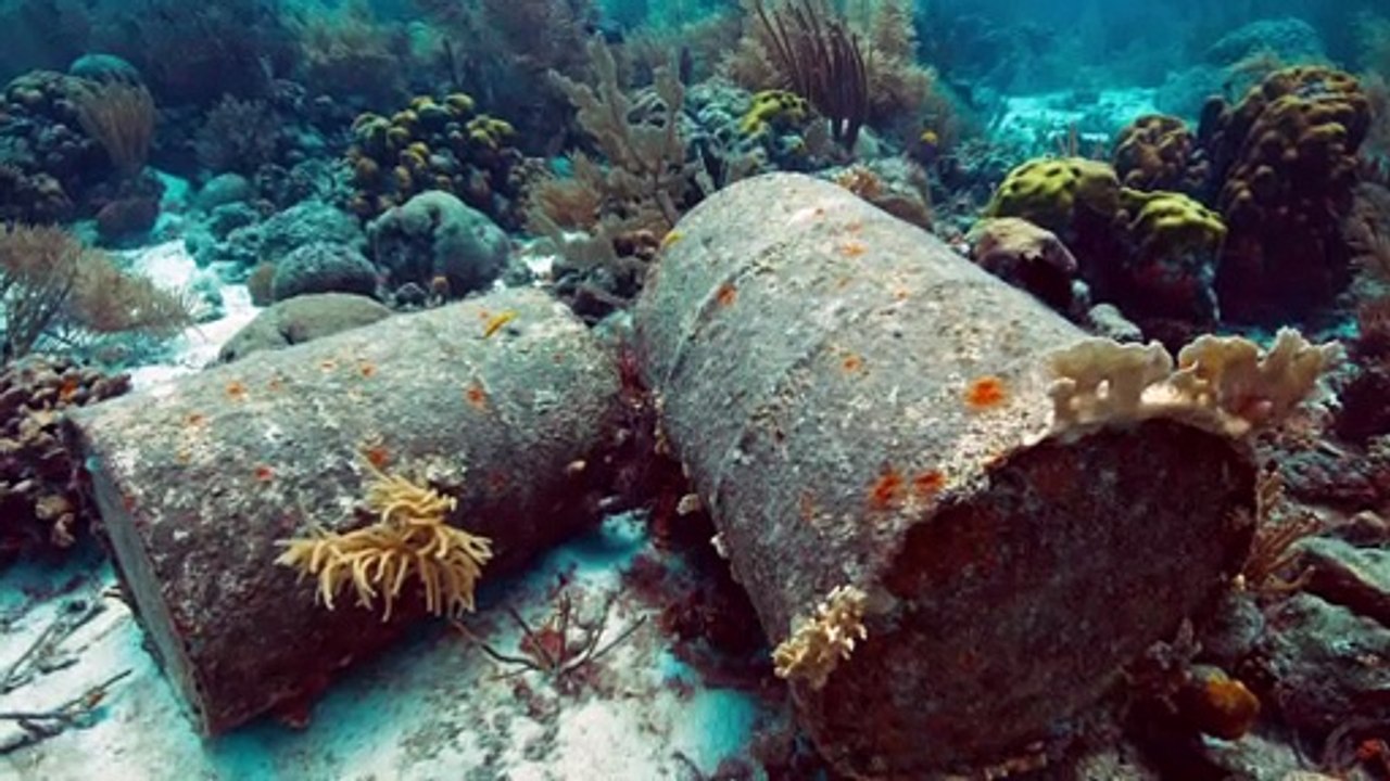 World on our shoulders Ioanna Reeves