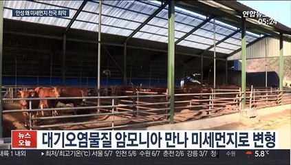 '도농복합도시' 경기 안성…미세먼지 '최악' 이유는