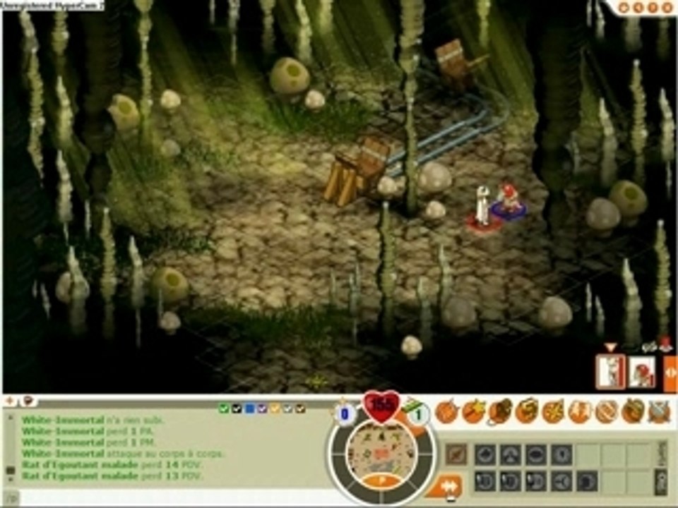 Dofus : Mon féca (1)