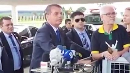 Bolsonaro chama jornalistas de 'espécie em extinção'
