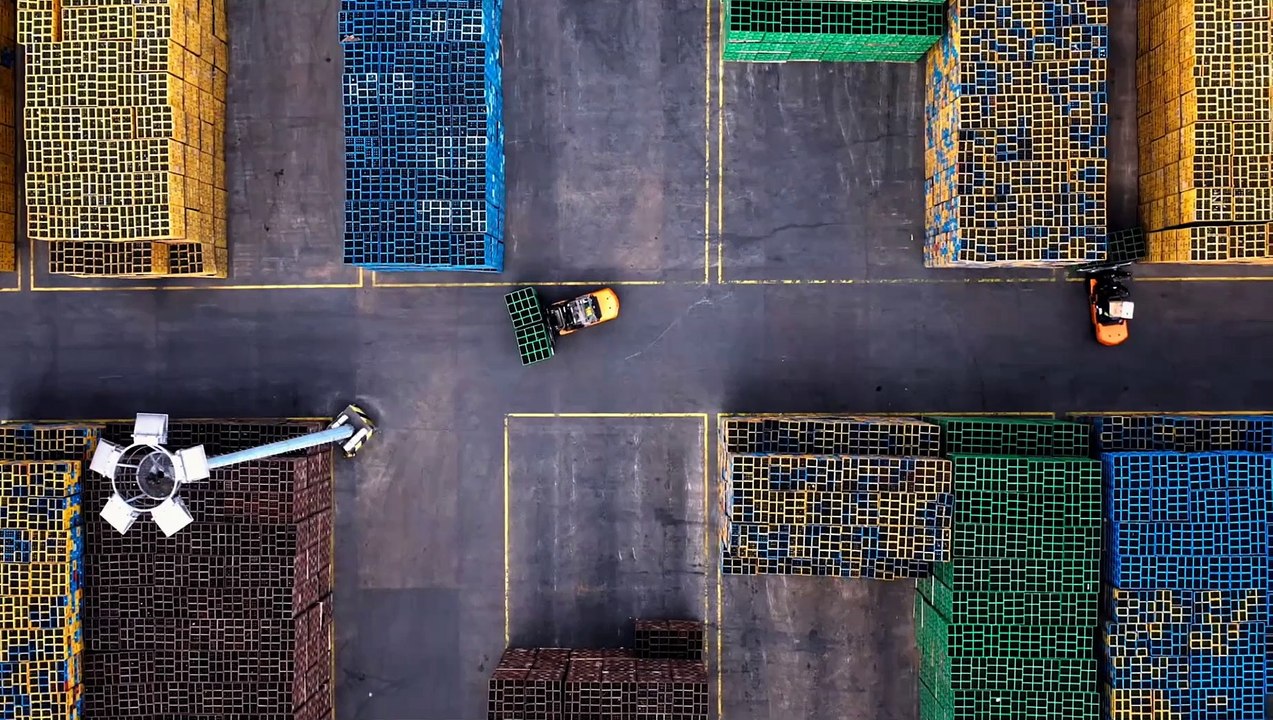 ALKOHOL DER GLOBALE RAUSCH Film