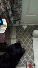 Opened Door to a Wall of Winter Snow