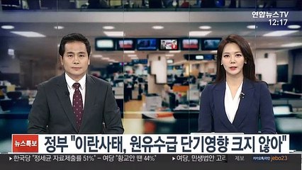 정부 "이란사태, 원유수급 단기영향 크지 않아"
