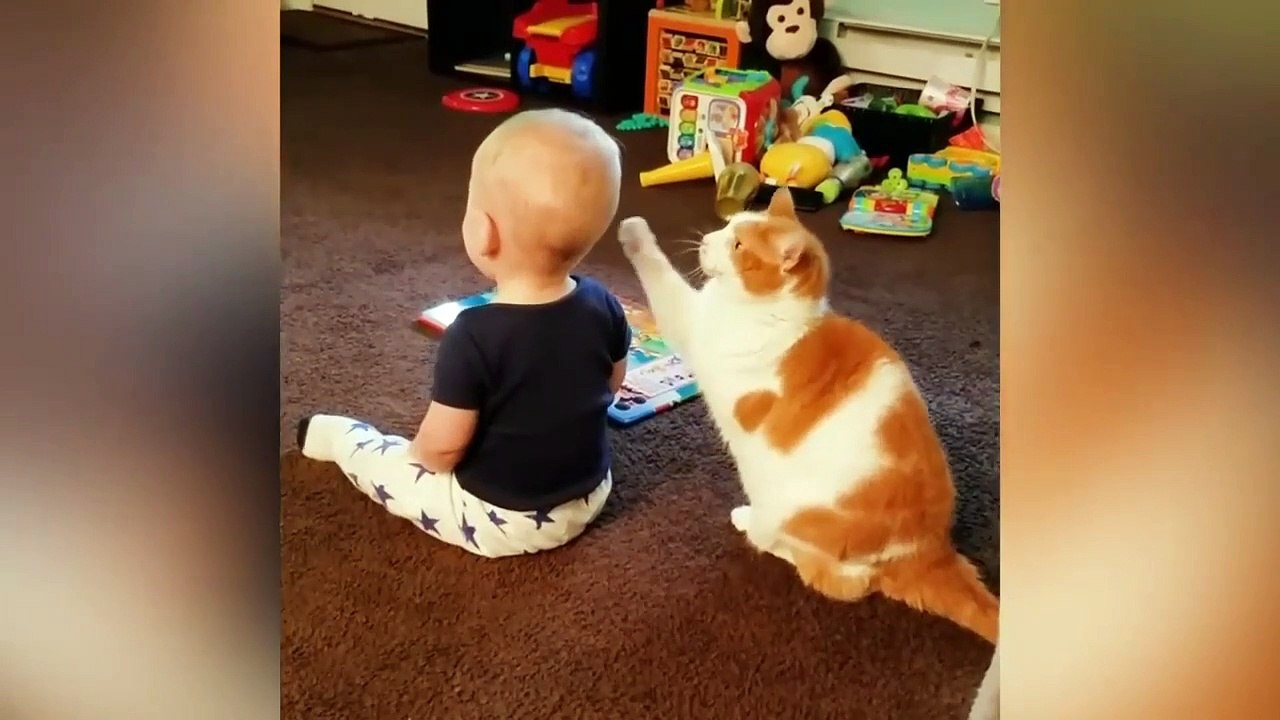 Cats_And_Babies_Having_Good_Time_Together
