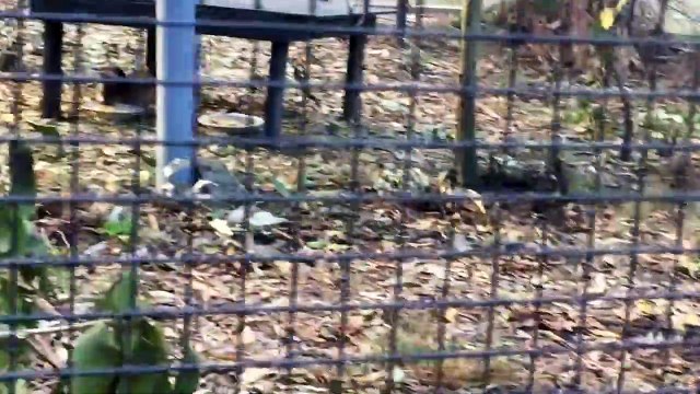 My 18th Birthday vlog PART 2