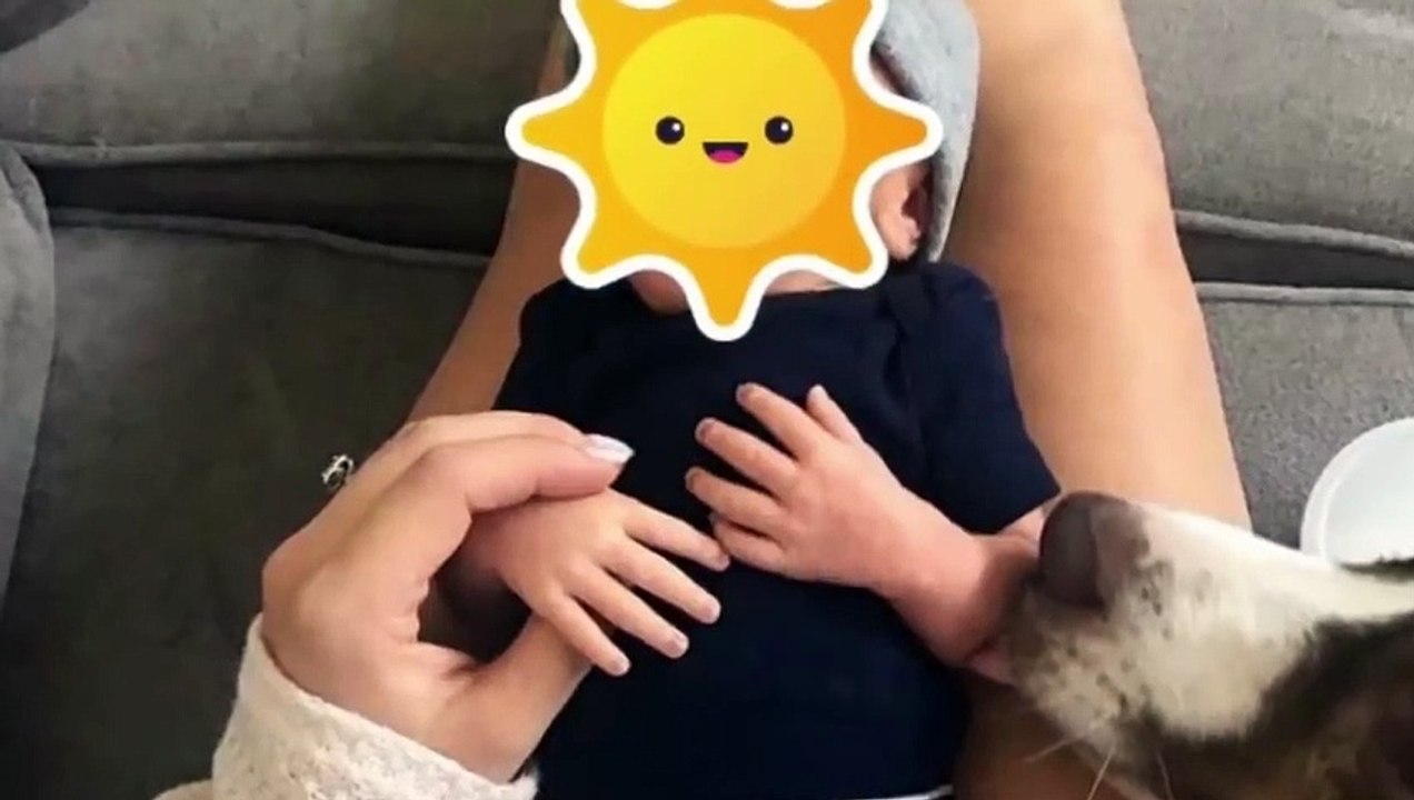 The camera recorded what this dog does at night with the baby!