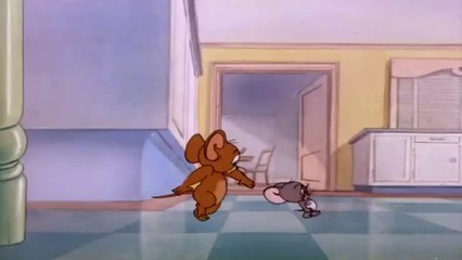 Tom and Jerry 2020 | My Baby  Cartoon For Kids | See Looking Cartoon