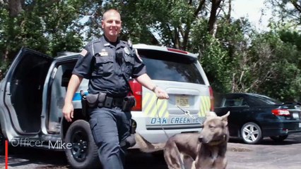 Animal Wellness Center Oak Creek: Testimonial - Officer Mike