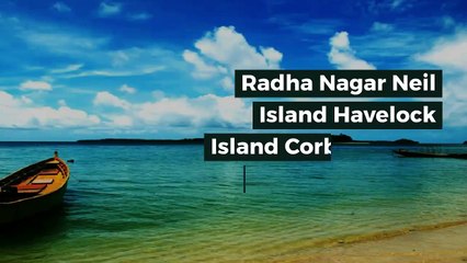 Best Tour Operators In Andaman - Akshay Travels