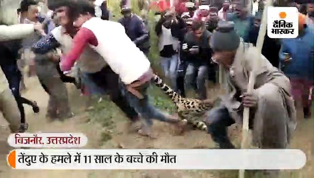 नाराज लोगों ने तेंदुए को घेरकर मार डाला