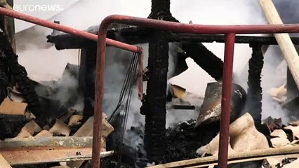 Australia, brucia anche la riserva ambientale dell'Isola dei Canguri