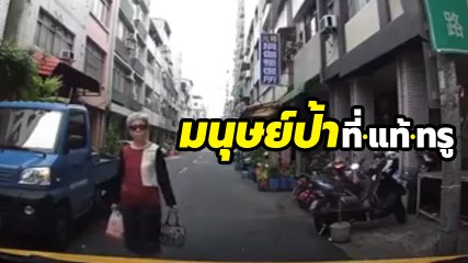 มนุษย์ป้า เลเวลตัน.. รถต้องหลบฉัน ไม่ใช่ฉันต้องหลบรถ !