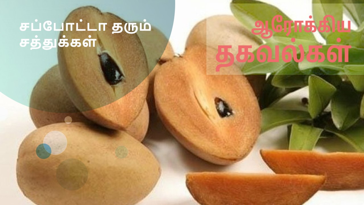 சப்போட்டா தரும் சத்துக்கள்..!