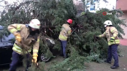 Kartal’da devrilen ağaç iki aracın üzerine düştü