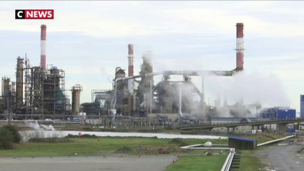 Pétrole : comment fonctionne une raffinerie?