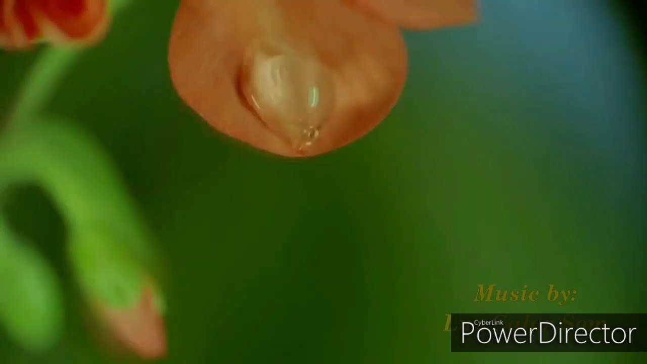 Project_01-07_HD 720p