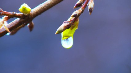 [영상] 때아닌 겨울비 / YTN