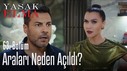 Araları neden açıldı? - Yasak Elma 63. Bölüm