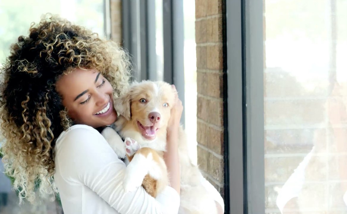 Tierärzte Warnen Vor Diesen Üblichen Fehlern