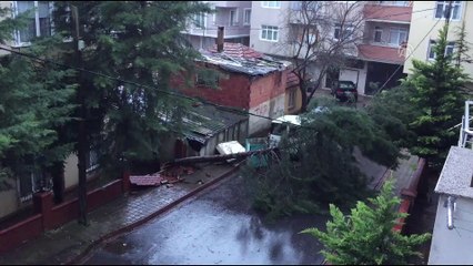 İBB duyurdu! İşte İstanbul'daki fırtınanın bilançosu