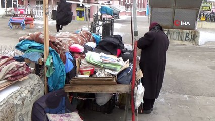 Erzurum buz kesti...Şadırvanlar buz tuttu, aç kalan tilki şehir merkezine kadar indi