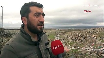 Yılkı eşeklerinin ölüme yolculuğu! Çoğu bu yolculuktan geri dönemiyor