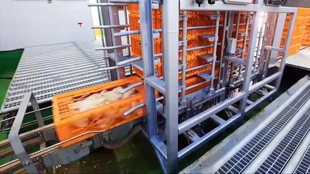World Amazing Automatic Food Processing Machines Modern Food Processing Technology | Modern Ultra Chicken Meat Processing Factory, Amazing Food Processing Machines 2020 | Modern Food Processing Technology with Cool Automatic Machines 2020