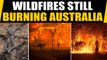 Australian wildfire: 24 people killed, estimated 480 animals dead | OneIndia News