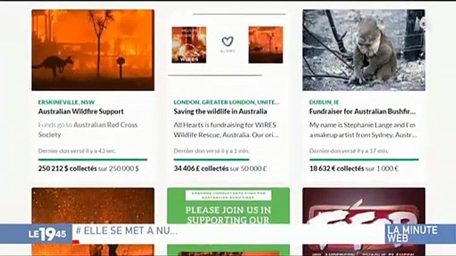 Incendies en Australie : Pour récolter des fonds, une influenceuse fait une promesse osée aux donateurs et récolte plus de 700.000 dollars