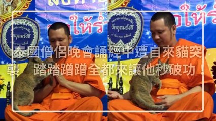 CollectionVideo-petmao_curation-PetsMaoParser-2020/01/07-09:30