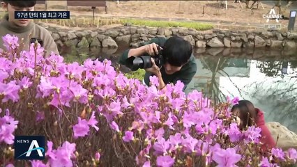 ‘반소매에 진달래’ 제주 23.6도…“한강 얼지 않을 듯”