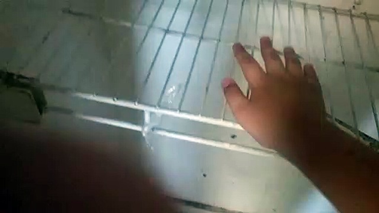 Moving The Apartments