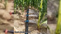 Extreme Wonderful Epic Agriculture Machines Homemade Inventions Equipment On Another Level
