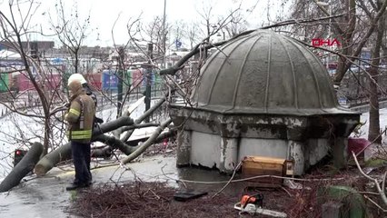 Beyoğlu'nda devrilen ağaç tarihi çeşmeye zarar verdi