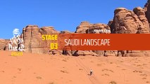 Dakar 2020 - Étape 3 / Stage 3 - Saudi Landscape