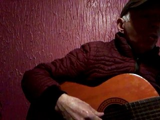 Se equivocó la paloma