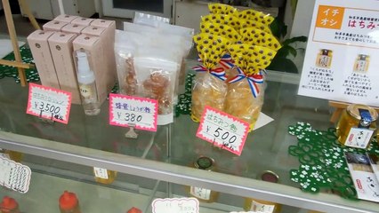 100 Year Old Honey Shop in Japan