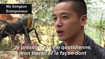 Avec la vidéo en ligne, des paysans chinois font leur miel