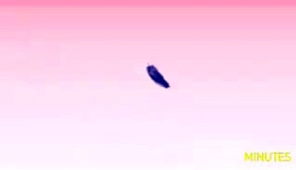 nueva intro para el canal