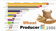 Top Largest Wheat Producer countries