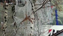 Kars'ta Dondurucu Soğuklar Etkili Oluyor... Ağaçlar Buz Tuttu, Kars Çayı Dondu