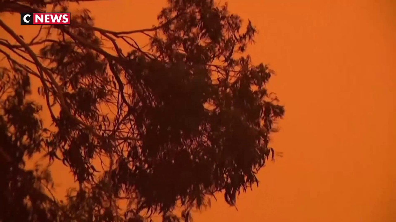 Des fumées des incendies australiens ont atteint le Chili et l'Argentine