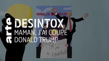 Maman j’ai coupé Donald Trump | 07/01/2020 | Désintox | ARTE