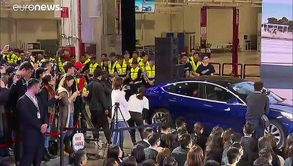 Tesla китайской сборки